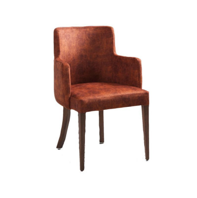 Stuhl Design Wohnzimmer Esszimmer Echtes Holz Stühle Polster mit Armlehne Neu