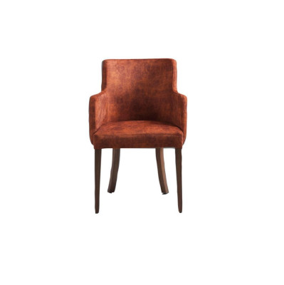 Stuhl Design Wohnzimmer Esszimmer Echtes Holz Stühle Polster mit Armlehne Neu