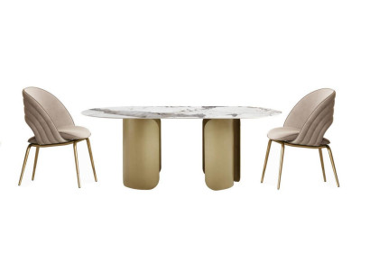 Exclusive Esszimmer Set Besteht aus 5tlg. Esstisch + 4x Stühle Luxus Komplett