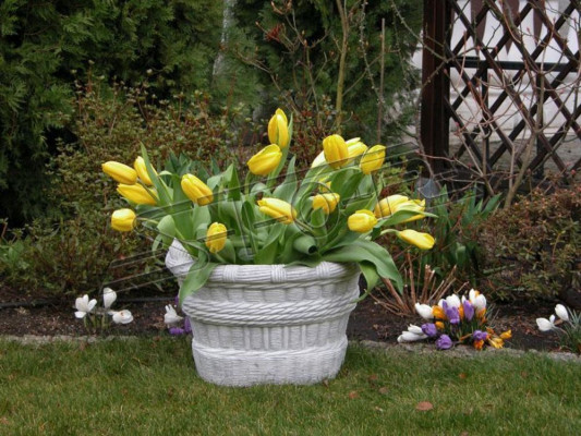 Design Blumentopf Top Dekorative Planz Kübel Gefäß Töpfe Figur Gesicht