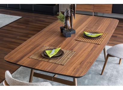 Esszimmertisch Esstisch Tisch Essecke Holz Baun Esszimmer Design Tische