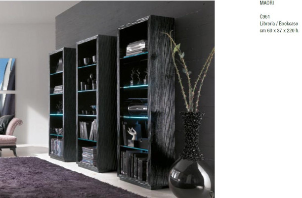 Wohn Zimmer Schränke Regale Bücher Schrank System Möbel Design Trenn Wand Regal