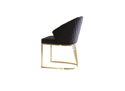 Polsterstuhl Esszimmerstuhl Holzstuhl Küchenstuhl Schwarz Modern Gold