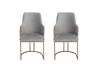 Modern Esszimmerstuhl Küchenstühle Luxus Design 2x Stühle Lehnstühle Grau Neu