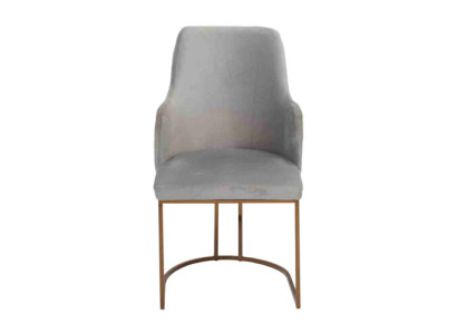 Modern Esszimmerstuhl Küchenstühle Luxus Design Stuhl Lehnstühle Grau Neu