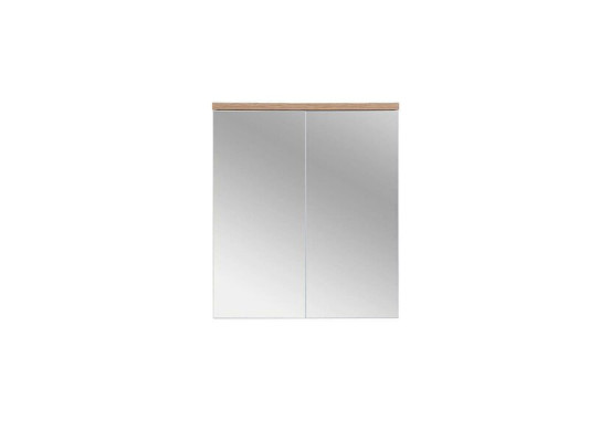 Spiegelschrank Badezimmerschrank Badspiegel 60x20x70 cm Schränke
