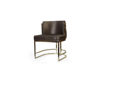 Luxus Stuhl Braun Farbe Modern Möbel mit Metallrahmen für Esszimmer