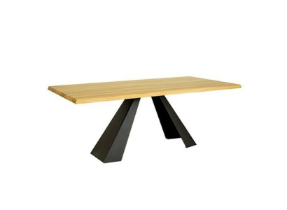 Esstisch Besprechungs Tische 220*100 cm Holz Konferenztisch Neu Vollholz Möbel