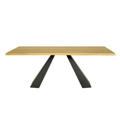 Esstisch Besprechungs Tische 220*100 cm Holz Konferenztisch Neu Vollholz Möbel