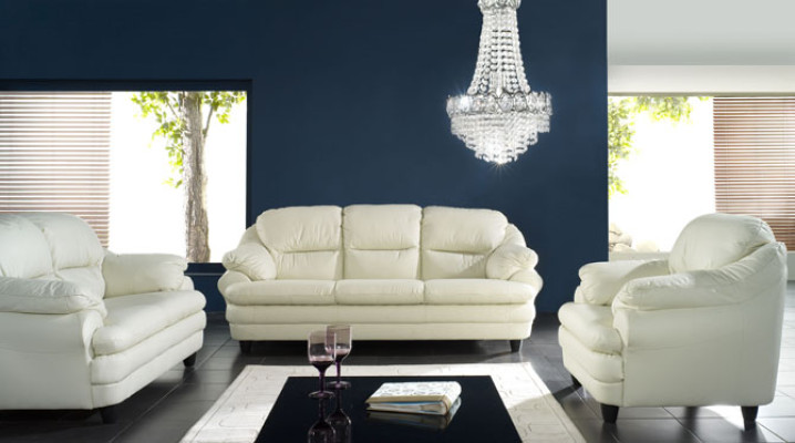 Sofa 2 Sitzer Design Sofas Polster Couchen Leder Relax Deko Moderne Sitz