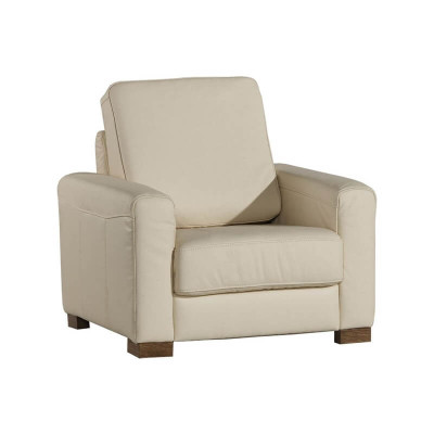 Sessel Einsitzer Lounge Sofa Fernseh Einsitzer Couch Wohnzimmer Möbel Sofas Neu