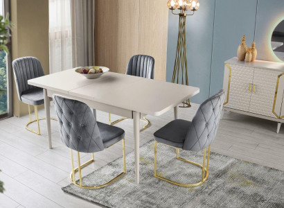 Esszimmer Set 5tlg Grau Einfarbig Esstisch Stühle Modern Rechteckig Form Design
