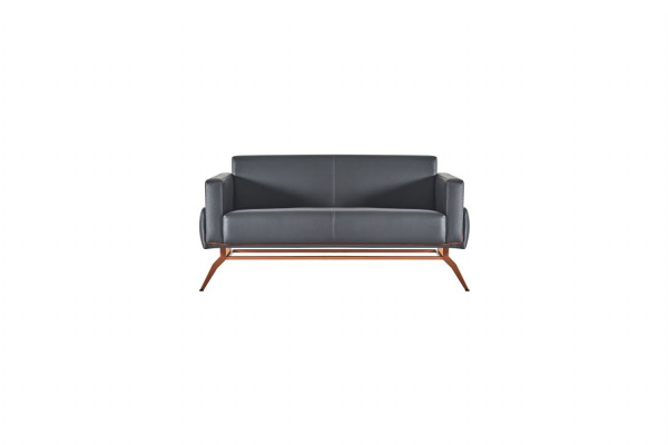 Arbeitszimmer-Set 3tlg 2-Sitzer Sessel Couchtisch Modern Design Grau