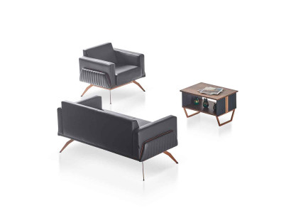 Arbeitszimmer-Set 3tlg 2-Sitzer Sessel Couchtisch Modern Design Grau