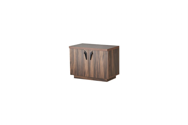 Kommode Braun Zweitürig Büro Arbeitszimmer Modern Rechteckig Sideboard