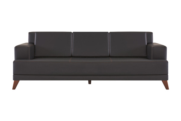 Ledersofa Modern 3-Sitzer Schwarz Einfarbig Couch Polster Kissen Holz