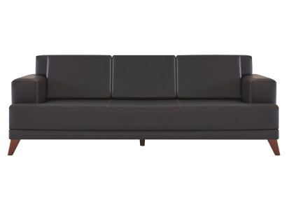 Ledersofa Modern 3-Sitzer Schwarz Einfarbig Couch Polster Kissen Holz