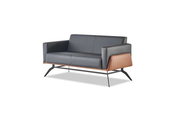 Sofagarnituren Schwarz Braun Ledersofas 3-Sitzer 2-Sitzer Sessel Modern