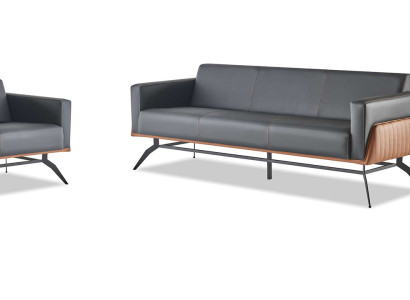 Sofagarnituren Schwarz Braun Ledersofas 3-Sitzer 2-Sitzer Sessel Modern