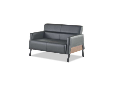 Sofa Schwarz 2-Sitzer Ledersofa Modern Couch Leder Edelstahl Zweisitzig