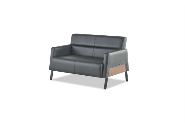 Sitzmöbel Leder Set Ledersofa 2-Sitzer Sessel Modern Schwarz Edelstahl