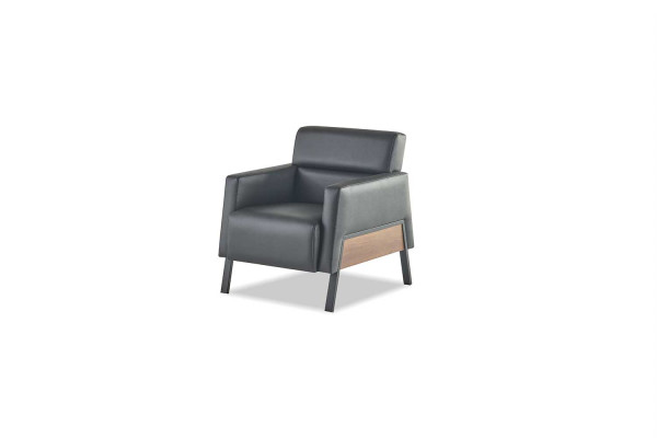 Sitzmöbel Leder Set Ledersofa 2-Sitzer Sessel Modern Schwarz Edelstahl