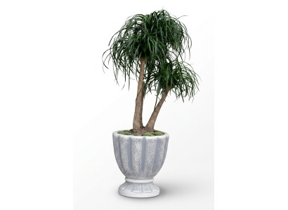 Blumentöpfe Kasten Topf Blumen Dekorative Töpfe XXL Beton Garten Terrasse