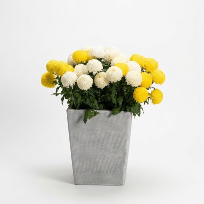 Blumenkübel Pflanz Kübel Dekoration Vasen Garten Figur Natur Blumentöpfe