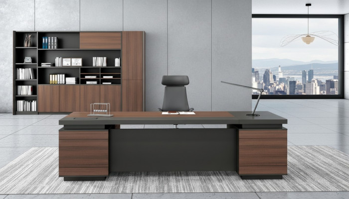 Aktenschrank Bücherregal Regal Regale Schrank Büro Möbel Schränke Einrichtung