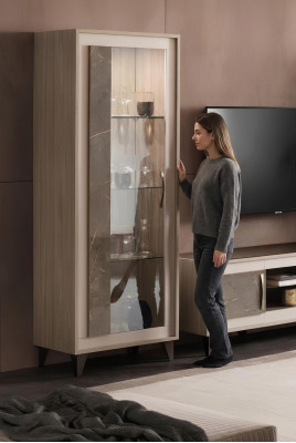 Vitrine Glasschrank Regal Bücherschrank Wohnwand Schrank Möbel Regale Wohnzimmer