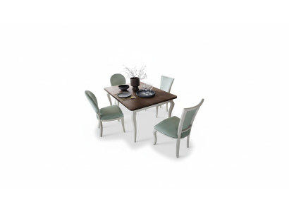 Essgarnitur Esstisch 4 x Stuhl Set Set Garnitur Essgruppe Tisch Klassische