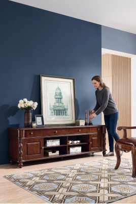 Wohnzimmerschrank tv Schrank Möbel Schränke Regal Lowboard rtv
