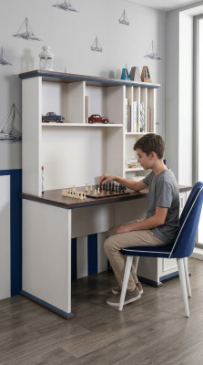 Schreibtisch Holztisch Jugendzimmer Tisch Regal Tische Massivholz Computertisch