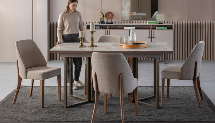 Garnitur Esszimmer Essgruppe Essecke Esstisch Stühle Holz Grau 7tlg