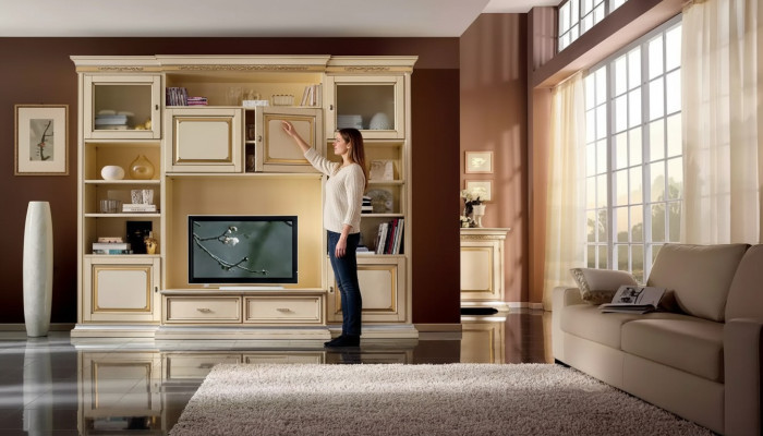 Klassische Wohn Wand Wohnzimmer Sideboard RTV Regal Wände Schrank Neu