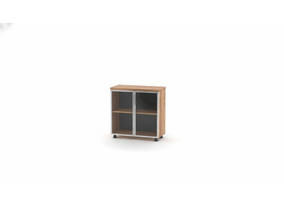 Aktenschrank mit Glastüren Braun Einfarbig Einlegenboden Arbeitszimmer