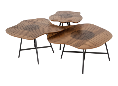 Eleganter Brauner Holz Couchtisch mit Zwei Beistelltischen Set